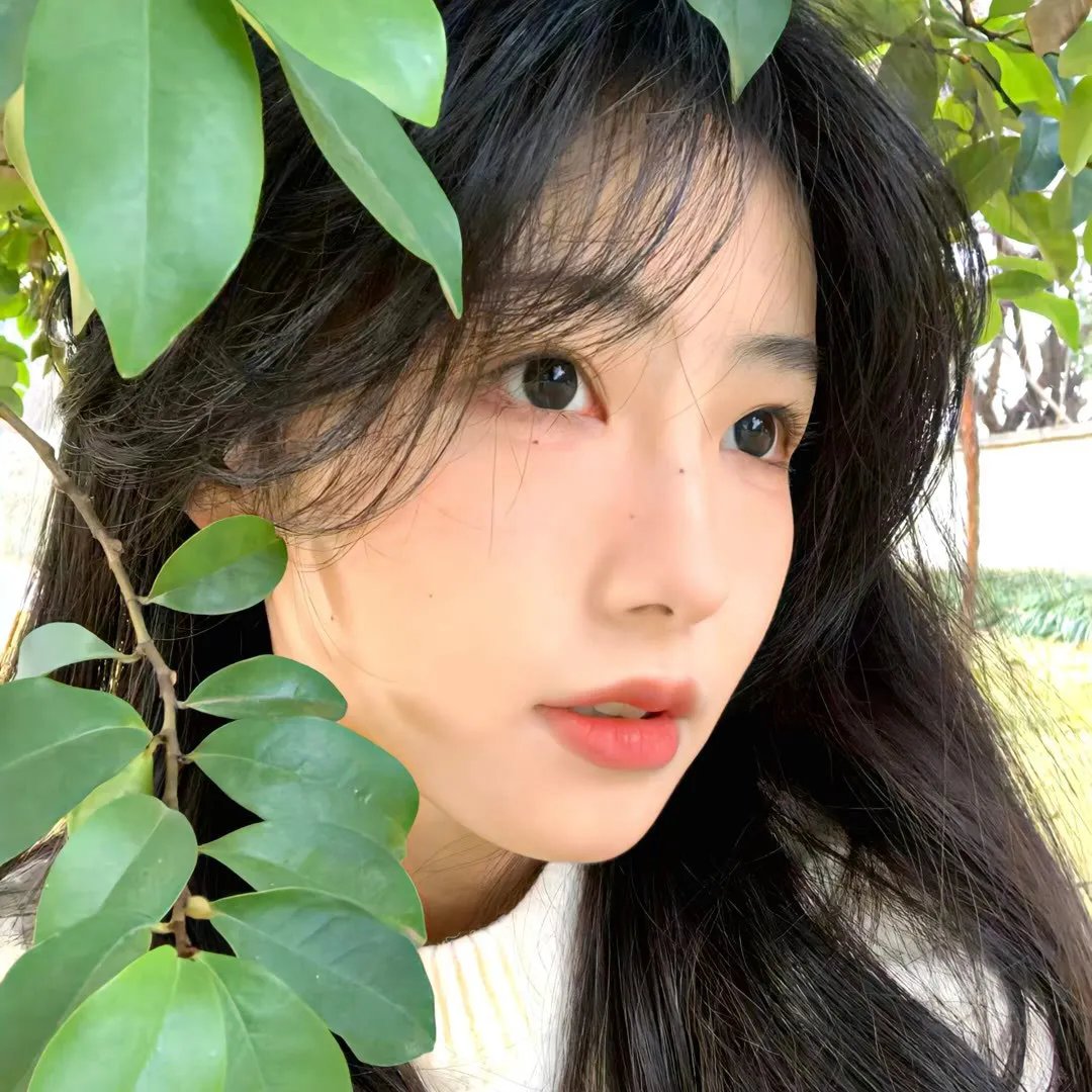 龙的心